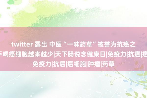 twitter 露出 中医“一味药草”被誉为抗癌之王，每天坚合手喝癌细胞越来越少|天下肠说念健康日|免疫力|抗癌|癌细胞|肿瘤|药草