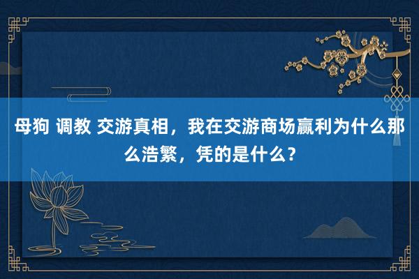母狗 调教 交游真相，我在交游商场赢利为什么那么浩繁，凭的是什么？
