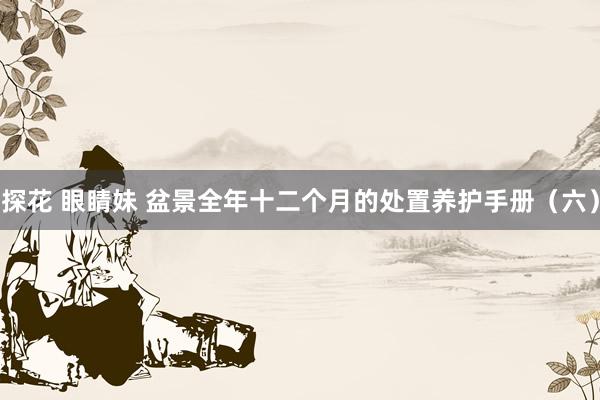 探花 眼睛妹 盆景全年十二个月的处置养护手册（六）