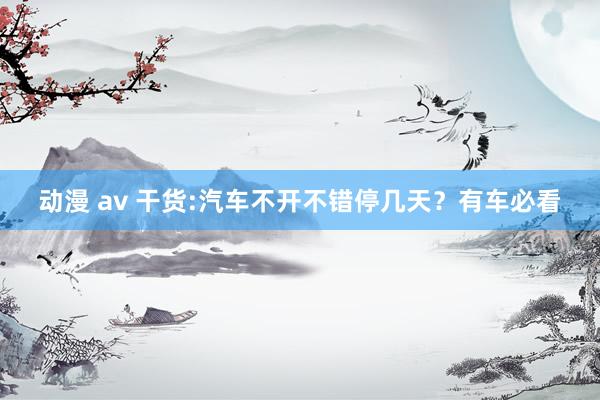动漫 av 干货:汽车不开不错停几天？有车必看