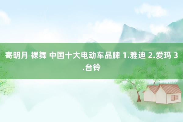 寄明月 裸舞 中国十大电动车品牌 1.雅迪 2.爱玛 3.台铃
