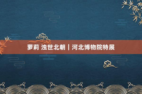 萝莉 浊世北朝｜河北博物院特展
