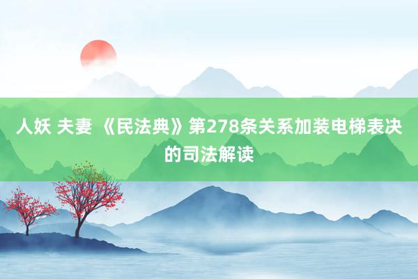 人妖 夫妻 《民法典》第278条关系加装电梯表决的司法解读