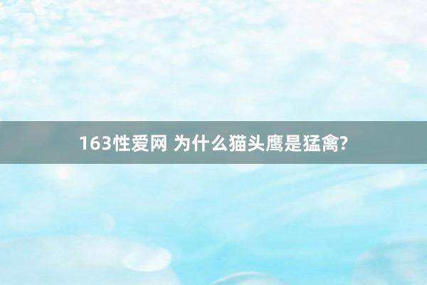 163性爱网 为什么猫头鹰是猛禽?