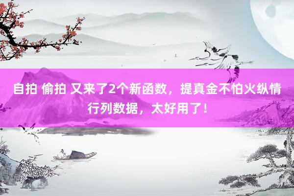 自拍 偷拍 又来了2个新函数，提真金不怕火纵情行列数据，太好用了！