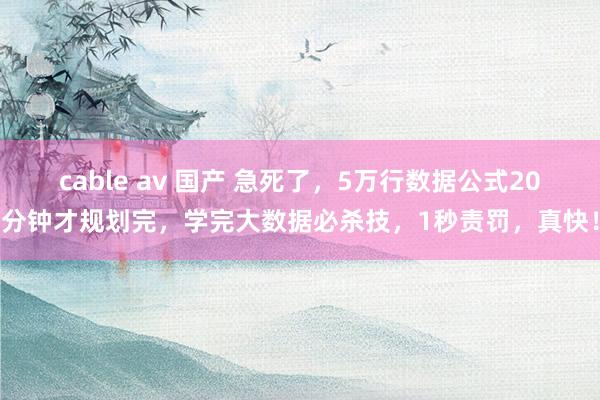 cable av 国产 急死了，5万行数据公式20分钟才规划完，学完大数据必杀技，1秒责罚，真快！
