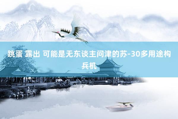 跳蛋 露出 可能是无东谈主问津的苏-30多用途构兵机
