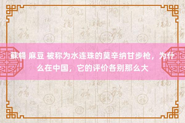 蘇暢 麻豆 被称为水连珠的莫辛纳甘步枪，为什么在中国，它的评价各别那么大