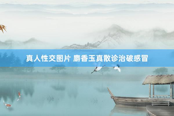 真人性交图片 麝香玉真散诊治破感冒