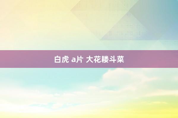 白虎 a片 大花耧斗菜